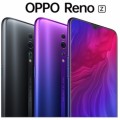 Oppo Reno Z Back Cover with frame [Black]