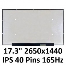 17.3'' 165Hz LCD screen IPS NE173QHM-NY1 NE173QHM-NY2 2560x1440 40pins