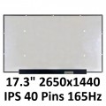 17.3'' 165Hz LCD screen IPS NE173QHM-NY1 NE173QHM-NY2 2650x1440 40pins