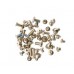 iPhone 5S screws set