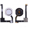 iPad Air 2 Home Button Flex Cable with IC [Golden]