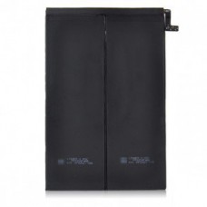 iPad Mini 2/3 Battery