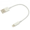 0.25M iPhone Lightning to USB Cable