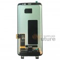 Samsung Galaxy S8 OLED and Touch Screen Assembly [Black]