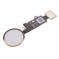 iPhone 7/7 Plus Home Button and Flex Cable [Gold][needs to change IC from original home button]