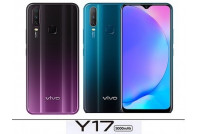 Vivo Y17 Parts (3)