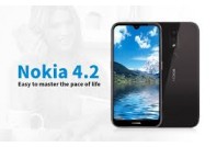 Nokia 4.2 Parts (1)