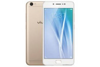 Vivo Parts (22)